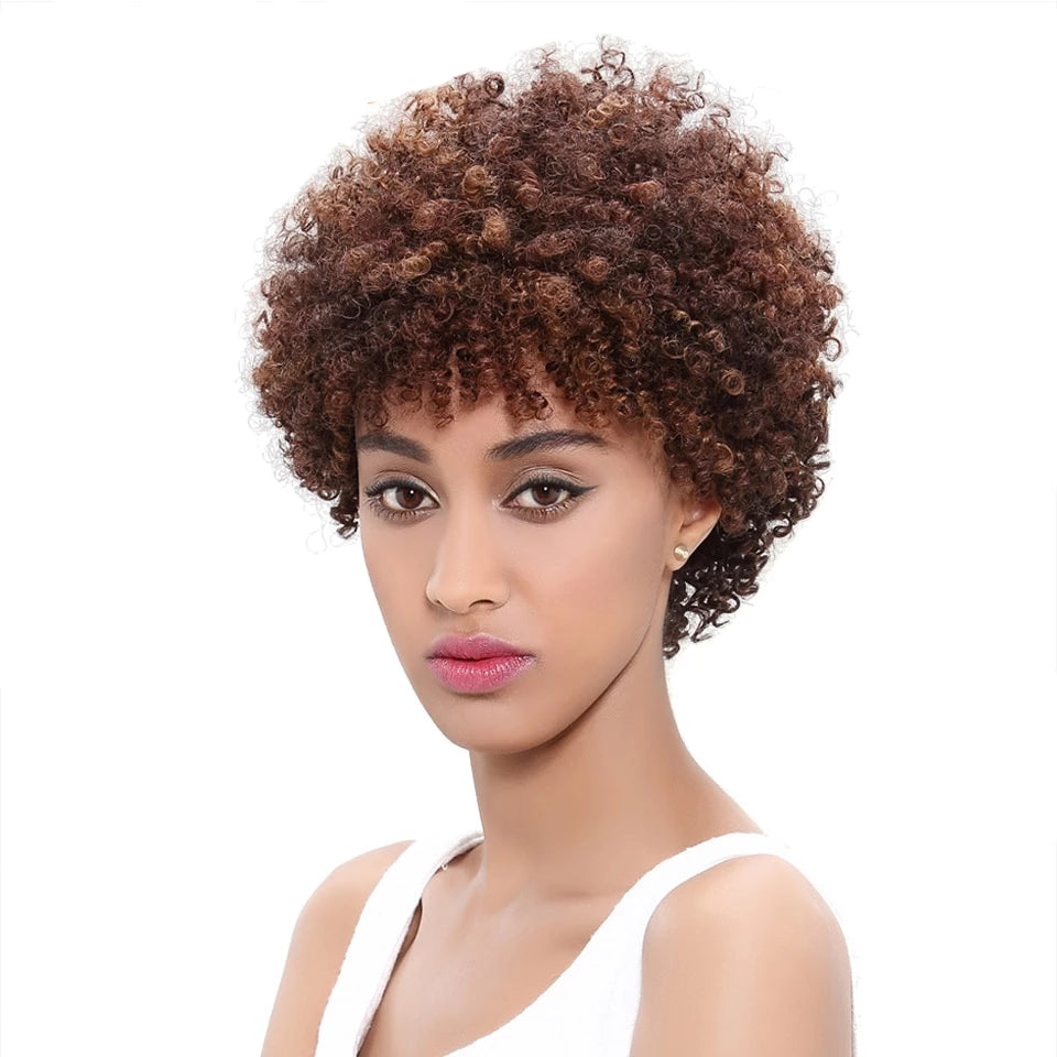 Brazilian Afro Kinky Curly Hair Wigs